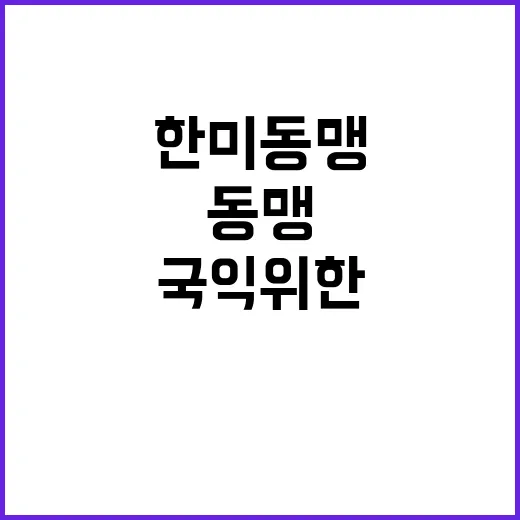 한미동맹 안전과 국…