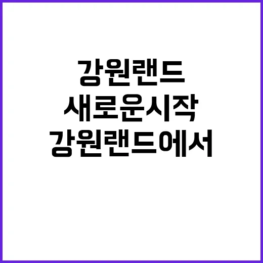 ㈜강원랜드 2024년 하반기 제2차 서비스지원직(보훈) 채용 공고