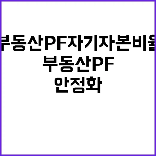 부동산 PF 자기자본비율 안정화 기대 성과 폭발!