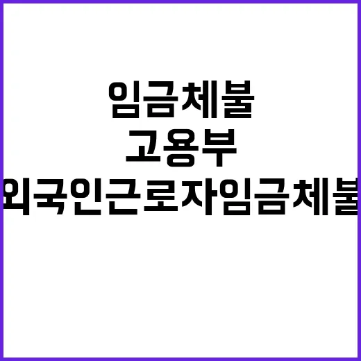 외국인근로자 임금체…