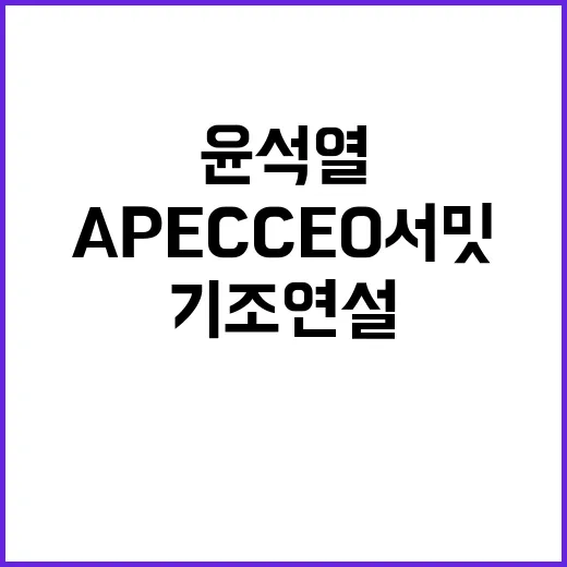 APEC CEO 서…