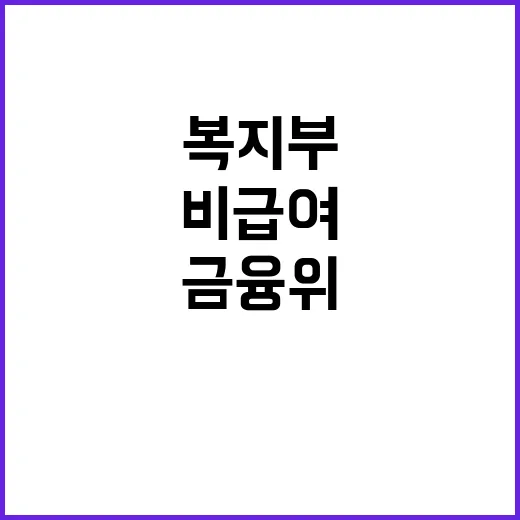 비급여 관리 금융위…