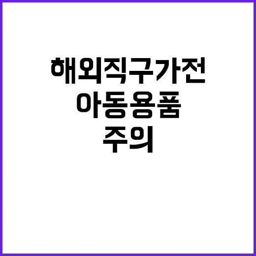 “해외직구 가전·아…