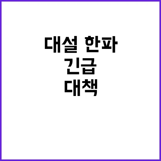 대설·한파 정부의 긴급 안전대책은 무엇인가?