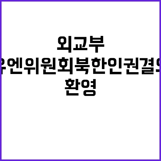 유엔위원회 북한 인…