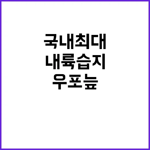 우포늪 국내 최대 자연 내륙 습지의 숨겨진 매력!