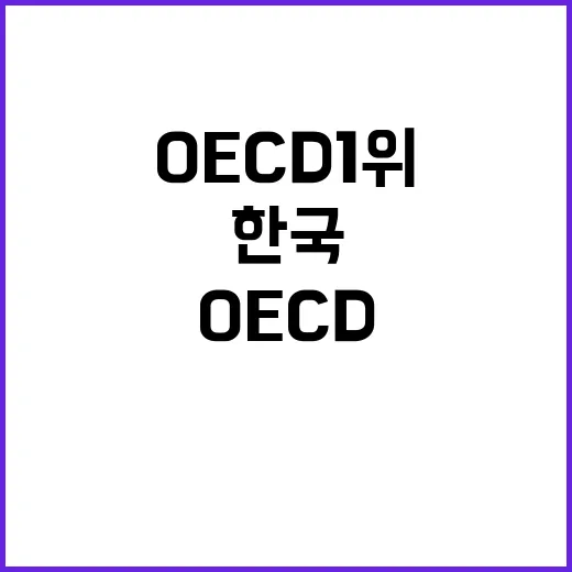 OECD 1위 한국…