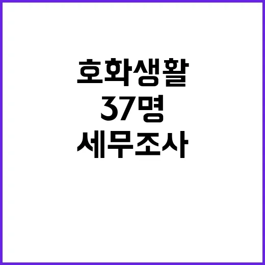 호화 생활 국세청 …