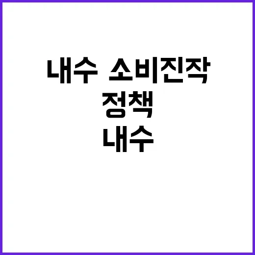 내수·소비 진작 양…