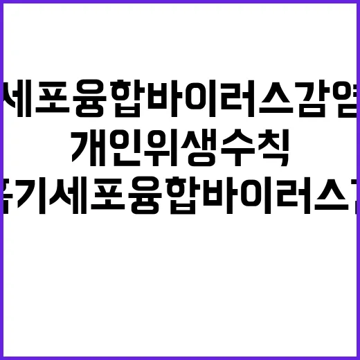 호흡기세포융합바이러스 감염 개인위생수칙 필수!