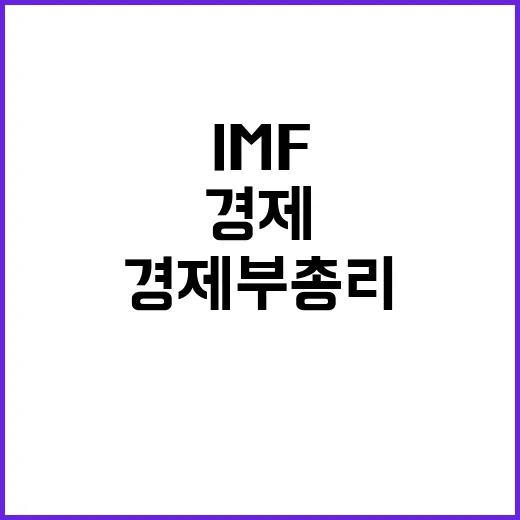 경제부총리 IMF 면담…국가시스템 안정성 강조!