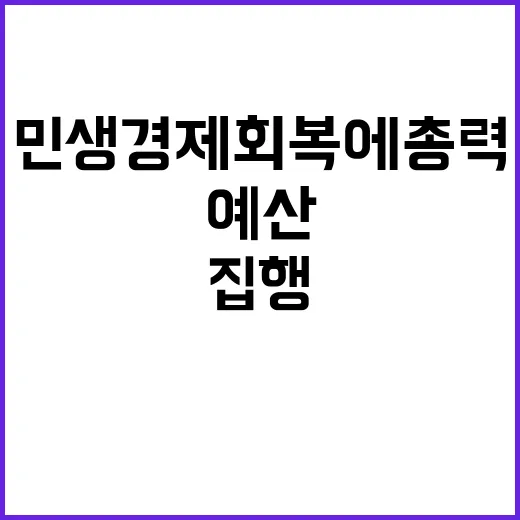 예산 집중 집행 민생경제 회복에 총력!