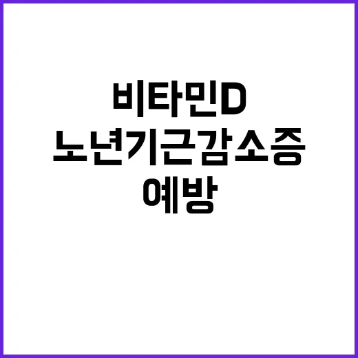 비타민D 노년기 근감소증 예방의 비밀 공개!