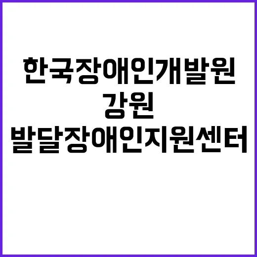 한국장애인개발원 비…