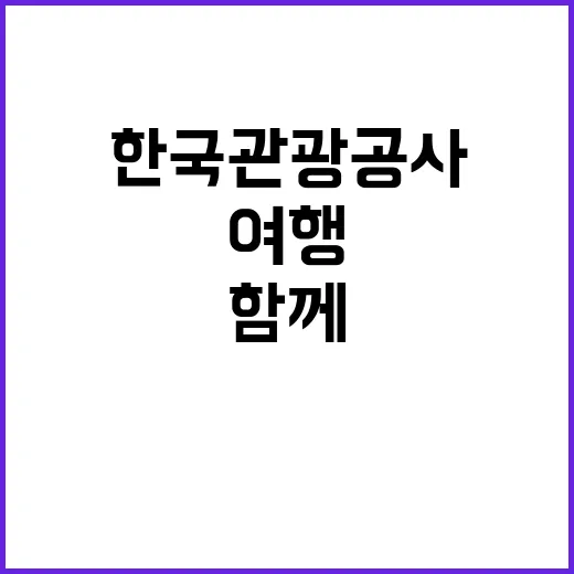 한국관광공사 비정규…