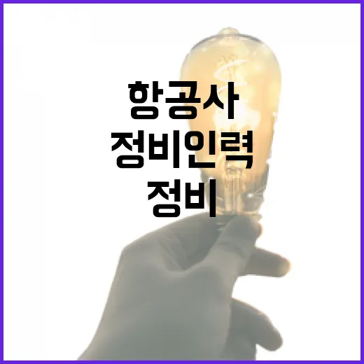 항공사 등록 정비인력 보유 여부 확인 필요!