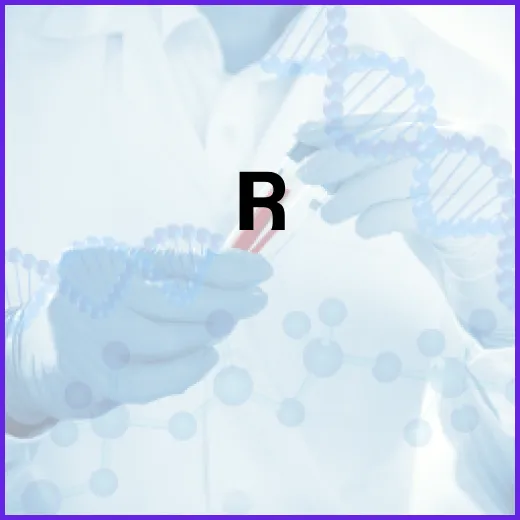 R&D 투자 6조 현장 중심 AI 혁신 쏠린다!