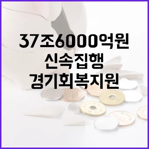 신속 집행 37조 …