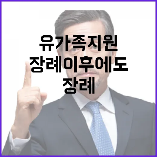 유가족 지원 장례 …