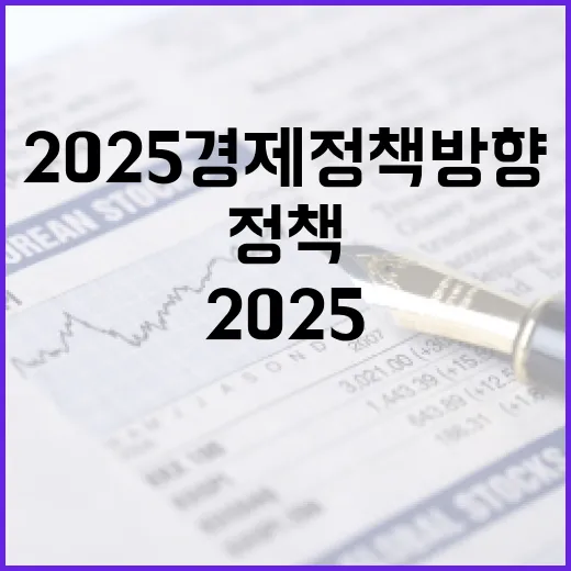 2025 경제정책방…