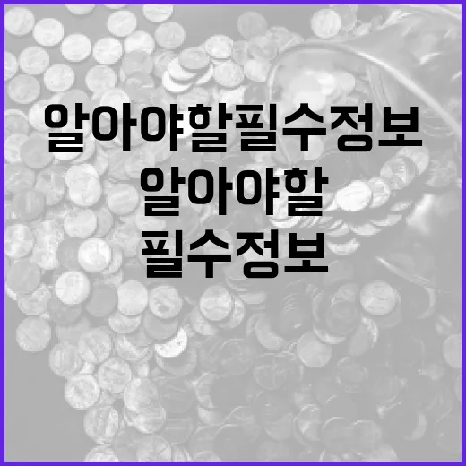 속도와 체감도 지금…