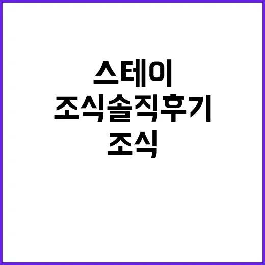 스테이NAMU(스테이나무)