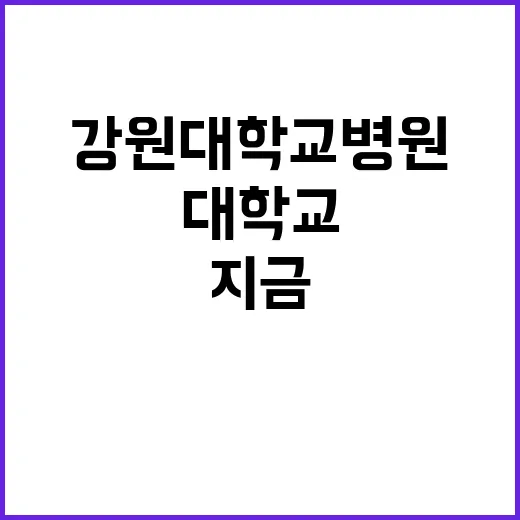 강원대학교병원 정규…