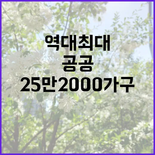 공공 공급 25만2000가구 역대 최대 발표! 클릭 필수!