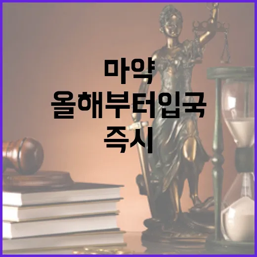 마약 단속 올해부터 입국 시 즉시 시행!