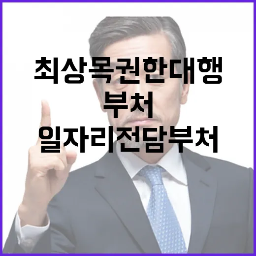 일자리 전담부처 고용 개선 위한 최상목 권한대행!