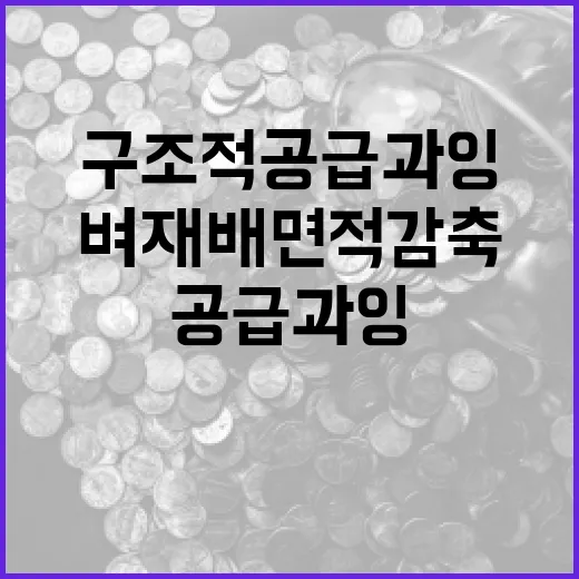 구조적 공급과잉 벼 재배면적 감축 필수!