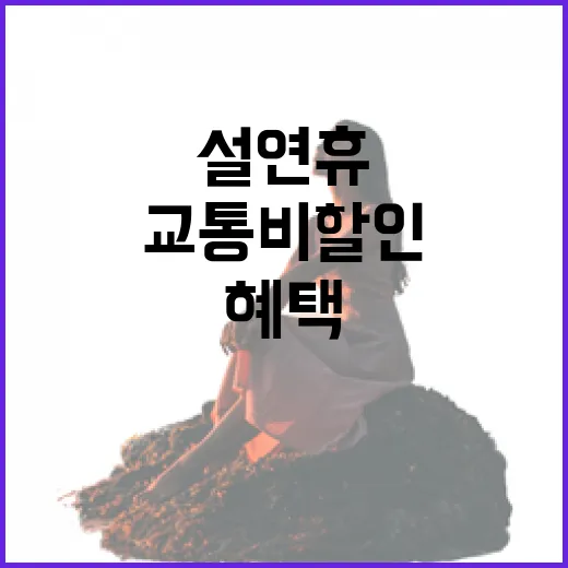 설 연휴 교통비 할…