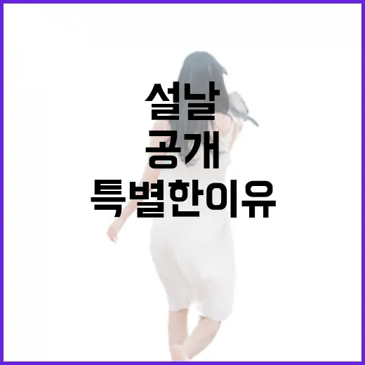 설날 즐거움 올해 …