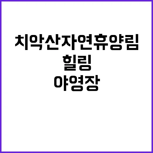 치악산자연휴양림 야…