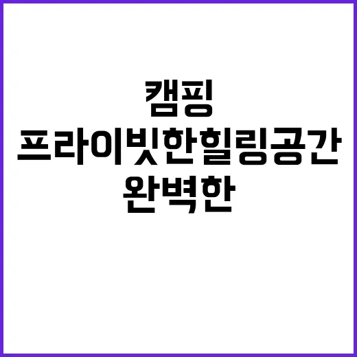 독차지 캠핑