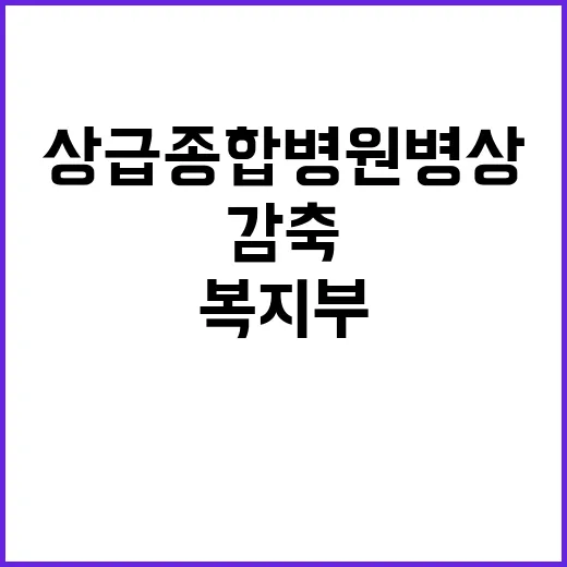 상급종합병원 병상 …