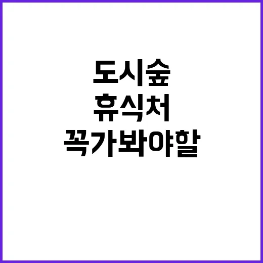 도시숲, 숨은 휴식…