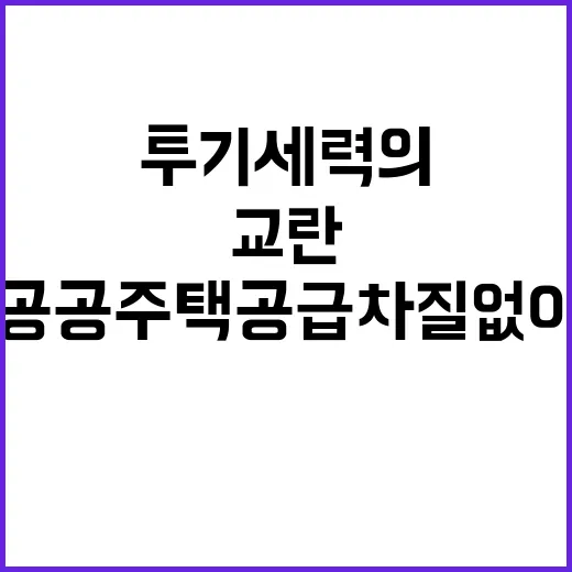 투기세력의 교란…공…