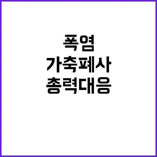 폭염, 가축 폐사 …