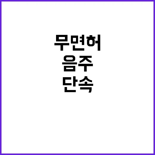 피서철 특별안전관리…