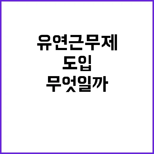 유연근무제, 도입하…