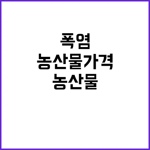 폭염, 농산물 가격 상승 보도의 진실은 무엇?