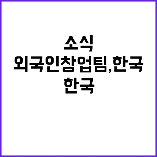 외국인 창업팀, 한…