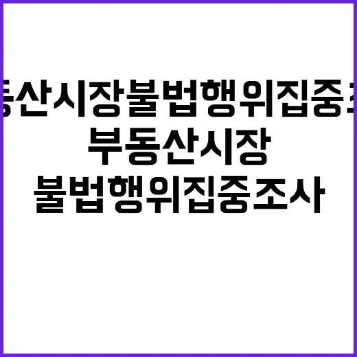 부동산 시장 불법행위 집중 조사 시작! 클릭 필수!