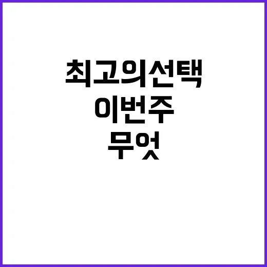 공연 이번 주 최고의 선택은 무엇?