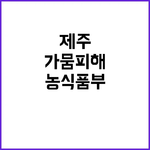 농식품부의 제주 당…