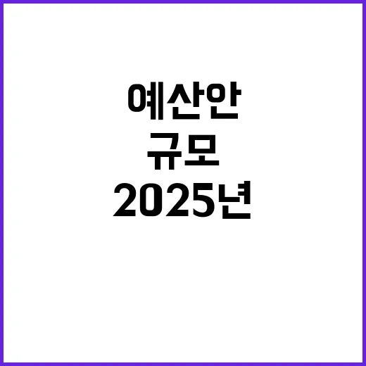 예산안 2025년 …