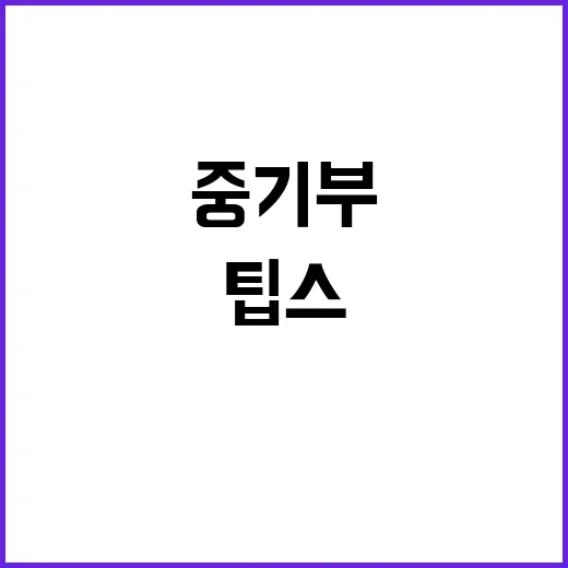 중기부 “팁스R&D…