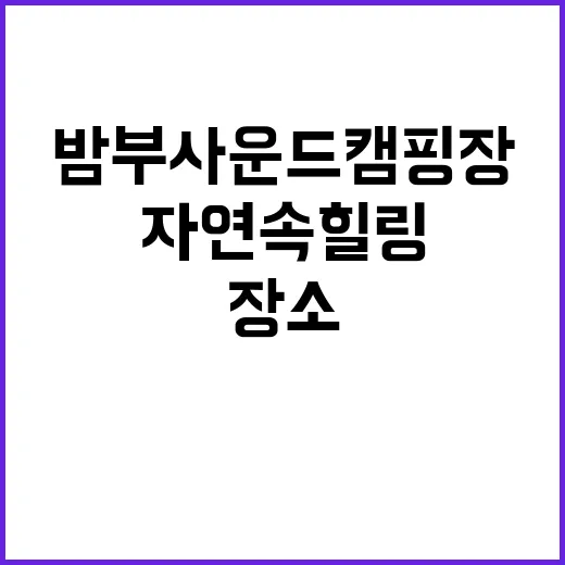 밤부 사운드 캠핑장