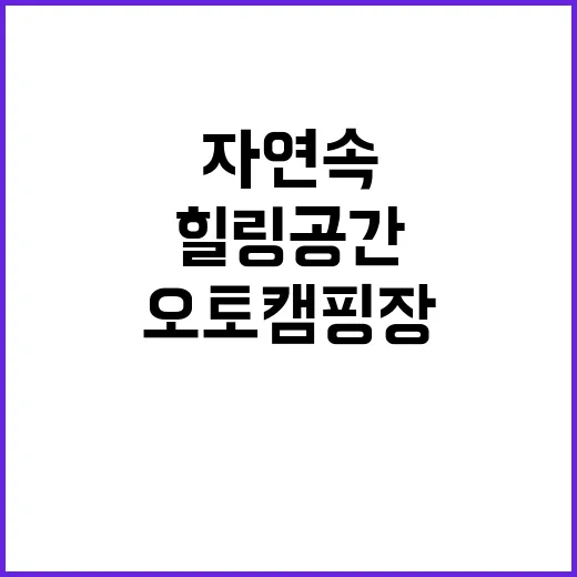 돌고래 오토 캠핑장